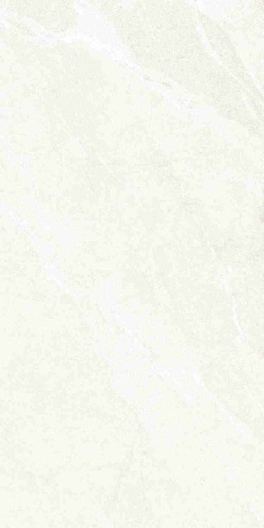 Dhara White Matte 24 x 48